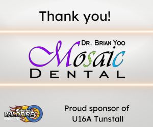 Mosaic Dental